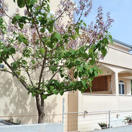 Guest house And Ciovo Okrug Gornji
