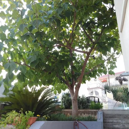And Ciovo Guest house Okrug Gornji